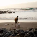Ibu dan anak kecil sedang menikmati tips liburan dengan anak kecil yang santai di taman pantai